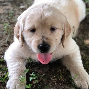 Meet your Posher, Kathleen